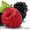 Замороженные ягоды,  плоды и овощи. #5859