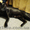 Ориентальные котята заботливым хозяевам - <ro>Изображение</ro><ru>Изображение</ru> #2, <ru>Объявление</ru> #11693