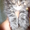 продам персидских котят - <ro>Изображение</ro><ru>Изображение</ru> #3, <ru>Объявление</ru> #12513