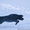 Щенки лабрадора черного окраса в Минске - <ro>Изображение</ro><ru>Изображение</ru> #1, <ru>Объявление</ru> #27455