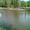Работы по очистке водоемов, очистка озер и рек каналов - <ro>Изображение</ro><ru>Изображение</ru> #1, <ru>Объявление</ru> #32901