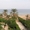 Действующий отель и дайвинг центр в Сафаге (Египет) - <ro>Изображение</ro><ru>Изображение</ru> #2, <ru>Объявление</ru> #44352