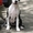 Супер щенок девочка Американского Стаффоршидского Терьера (стафф терьер - <ro>Изображение</ro><ru>Изображение</ru> #2, <ru>Объявление</ru> #45917