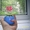  flip flap Солнечный цветочек - <ro>Изображение</ro><ru>Изображение</ru> #2, <ru>Объявление</ru> #40542