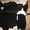 Продам шкуру кабана  и коровы  - <ro>Изображение</ro><ru>Изображение</ru> #2, <ru>Объявление</ru> #54792