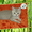 Британские и Шотландские котята - <ro>Изображение</ro><ru>Изображение</ru> #2, <ru>Объявление</ru> #67201