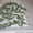 цитруси,мандарини, декоративние растениа - <ro>Изображение</ro><ru>Изображение</ru> #3, <ru>Объявление</ru> #69645