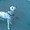 продам щенка далматина  - <ro>Изображение</ro><ru>Изображение</ru> #1, <ru>Объявление</ru> #71248