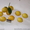цитруси, мандарини,  декоративние растениа #69645