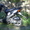 Скутер Honda Dio 34, продам - <ro>Изображение</ro><ru>Изображение</ru> #1, <ru>Объявление</ru> #80696
