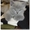 Шотландские котята (Scottish fold/stright) - <ro>Изображение</ro><ru>Изображение</ru> #1, <ru>Объявление</ru> #84038