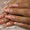 Студия «Жан Мари»  услуги наращивание ногтей(все виды: френч,  аквариум, декоратив #77660