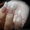 Наращивание ногтей красиво и качественно!!! - <ro>Изображение</ro><ru>Изображение</ru> #2, <ru>Объявление</ru> #44434