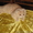 Котик кремовый с родословной клуба ФАУ #91389