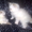 Шикарные персидские котята - <ro>Изображение</ro><ru>Изображение</ru> #2, <ru>Объявление</ru> #142350