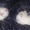 Шикарные персидские котята - <ro>Изображение</ro><ru>Изображение</ru> #3, <ru>Объявление</ru> #142350