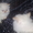 Шикарные персидские котята - <ro>Изображение</ro><ru>Изображение</ru> #4, <ru>Объявление</ru> #142350