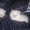 Шикарные персидские котята - <ro>Изображение</ro><ru>Изображение</ru> #5, <ru>Объявление</ru> #142350