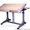 Детские столы-парты Растишка. Мебель которая растет. #30813