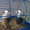 Продам морских свинок - <ro>Изображение</ro><ru>Изображение</ru> #4, <ru>Объявление</ru> #154749