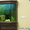 Аквариумы. Подводный мир за стеклом - <ro>Изображение</ro><ru>Изображение</ru> #5, <ru>Объявление</ru> #157659