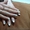Наращивание ногтей Киев - <ro>Изображение</ro><ru>Изображение</ru> #2, <ru>Объявление</ru> #170059