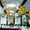 Воздушные шары (Киев),  шары с гелием Киев,  шары на свадьбу в Киеве,  гелиевый шар #179927