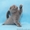 Шикарные плюшевые котята шотландской вислоухой.  - <ro>Изображение</ro><ru>Изображение</ru> #1, <ru>Объявление</ru> #194912