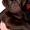лабрадор щенки от чемпионов - <ro>Изображение</ro><ru>Изображение</ru> #1, <ru>Объявление</ru> #189595