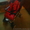 Прогулочная коляска Neonato Piuma - <ro>Изображение</ro><ru>Изображение</ru> #2, <ru>Объявление</ru> #206716