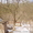 Продается земельный участок под строительство в с.Вишенки, Киевская обл. - <ro>Изображение</ro><ru>Изображение</ru> #3, <ru>Объявление</ru> #203956