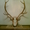 Продам рога европейского оленя (с выставки Будапешт) - <ro>Изображение</ro><ru>Изображение</ru> #2, <ru>Объявление</ru> #204970