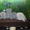 Шикарные плюшевые котята шотландской вислоухой.  - <ro>Изображение</ro><ru>Изображение</ru> #3, <ru>Объявление</ru> #194912