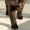 лабрадор щенки от чемпионов - <ro>Изображение</ro><ru>Изображение</ru> #2, <ru>Объявление</ru> #189595