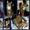 Нежный котик-муркотик ищет дом - <ro>Изображение</ro><ru>Изображение</ru> #5, <ru>Объявление</ru> #245914