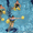 AQUA-фитнес "Бассейн Дельфин" Голосеево - <ro>Изображение</ro><ru>Изображение</ru> #1, <ru>Объявление</ru> #231201