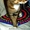 Нежный котик-муркотик ищет дом - <ro>Изображение</ro><ru>Изображение</ru> #2, <ru>Объявление</ru> #245914