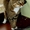 Нежный котик-муркотик ищет дом - <ro>Изображение</ro><ru>Изображение</ru> #3, <ru>Объявление</ru> #245914