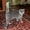Клубные котята породы Шотландская вислоухая - <ro>Изображение</ro><ru>Изображение</ru> #2, <ru>Объявление</ru> #252309