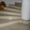 Ступени лестницы из мрамора и гранита - <ro>Изображение</ro><ru>Изображение</ru> #5, <ru>Объявление</ru> #268330