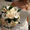Свадебное платье Барокко - <ro>Изображение</ro><ru>Изображение</ru> #4, <ru>Объявление</ru> #262361