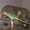 Александрийский попугай с красивой клеткой. - <ro>Изображение</ro><ru>Изображение</ru> #3, <ru>Объявление</ru> #284324