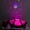 Тедди Музыкальная Черепаха Проектор звездного неба - <ro>Изображение</ro><ru>Изображение</ru> #5, <ru>Объявление</ru> #83319