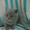 Продается шотландский голубой котенок #334765