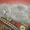 Продается шотландский голубой котенок - <ro>Изображение</ro><ru>Изображение</ru> #3, <ru>Объявление</ru> #334765