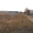 Продажа земли в Барышевке, 55 км. от Киева S 26 соток - <ro>Изображение</ro><ru>Изображение</ru> #2, <ru>Объявление</ru> #333329