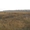 Продажа земли в Барышевке, 55 км. от Киева S 26 соток - <ro>Изображение</ro><ru>Изображение</ru> #3, <ru>Объявление</ru> #333329
