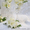 Свадебные бокалы - <ro>Изображение</ro><ru>Изображение</ru> #3, <ru>Объявление</ru> #326890