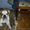 Передержка собак в Киеве, пансион для собак в квартире - <ro>Изображение</ro><ru>Изображение</ru> #3, <ru>Объявление</ru> #366100