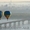 Незабываемый полёт на воздушном шаре над Киевом и Киевской областью